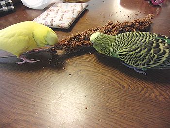 f0196665_001017.jpg