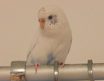 f0196665_043337.jpg