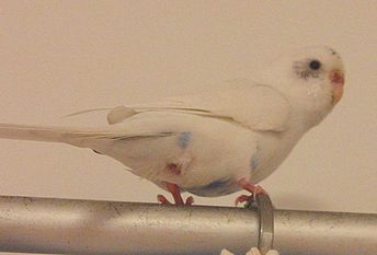 f0196665_06430.jpg