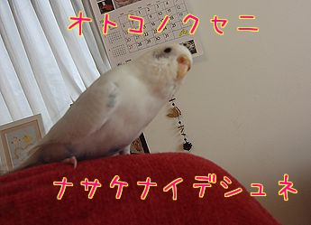 f0196665_23364530.jpg