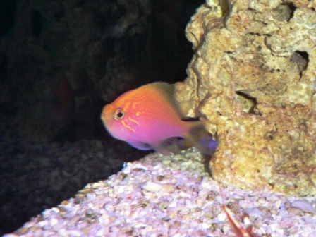 e0116569_0591933.jpg