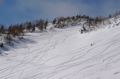 f0182173_1601850.jpg