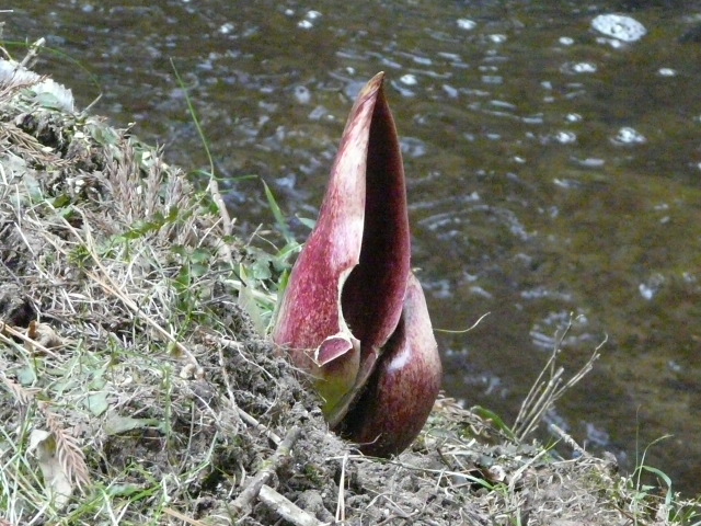 e0145782_17505733.jpg