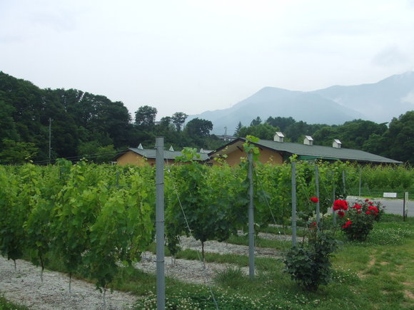 a0186689_22535350.jpg