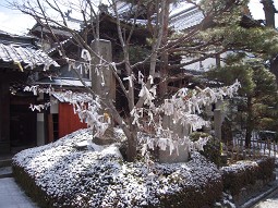 f0064192_2225530.jpg