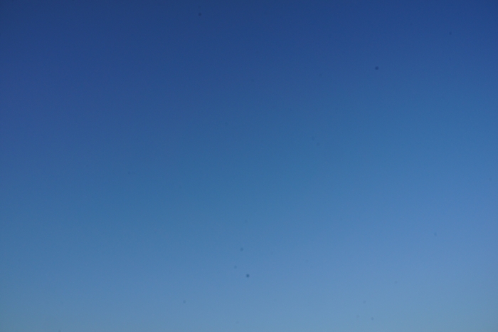 a0185693_4412029.jpg