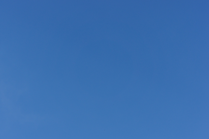 a0185693_5281466.jpg