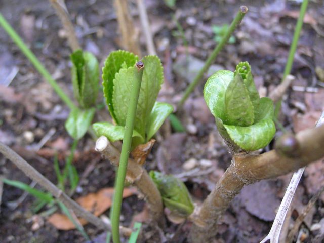 f0130894_20223081.jpg