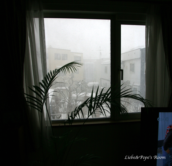 f0001895_17435055.jpg