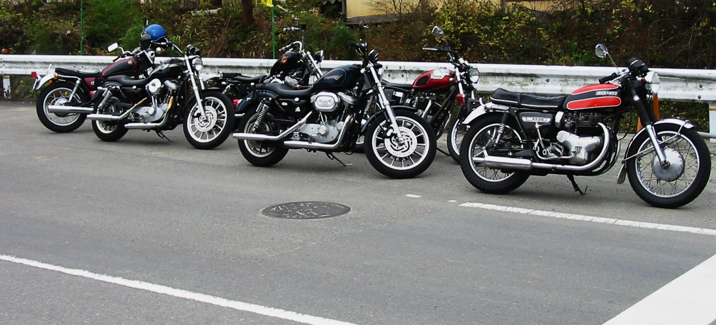 a0159702_334261.jpg