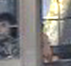 e0103408_16115033.jpg