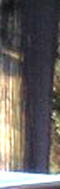 e0103408_16251720.jpg