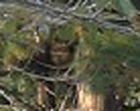 e0103408_16255699.jpg
