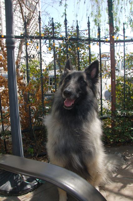 f0227709_146197.jpg