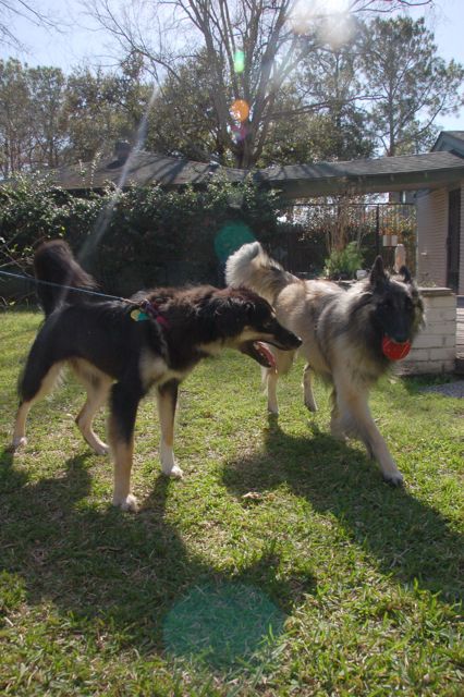 f0227709_1513378.jpg