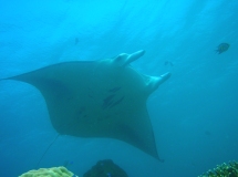 a0043520_20303359.jpg