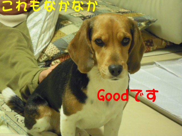 c0166622_100153.jpg