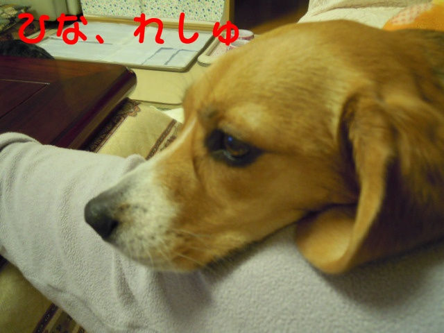 c0166622_1011623.jpg