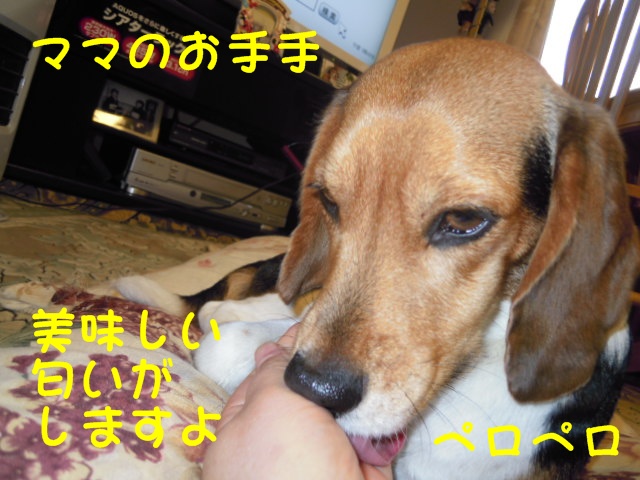 c0166622_102453.jpg