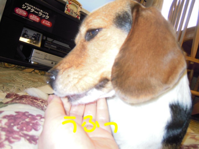 c0166622_1025489.jpg