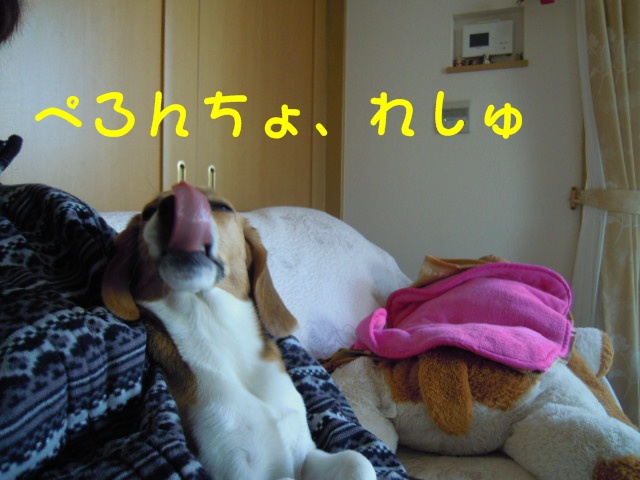 c0166622_102710.jpg