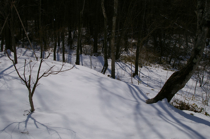 e0136424_14404711.jpg