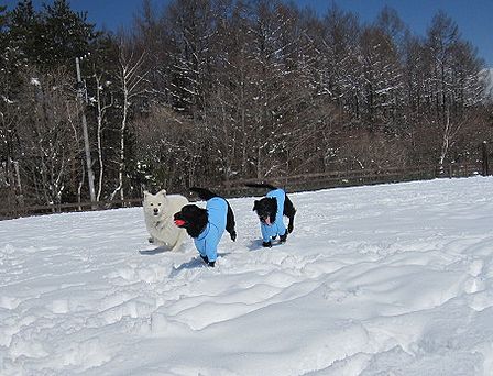 f0213924_223042.jpg