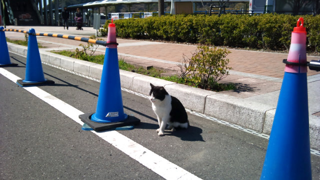 f0219228_17435087.jpg