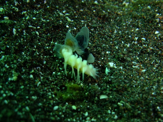 c0034029_7424670.jpg