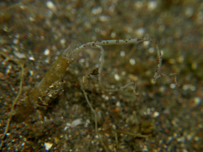 c0034029_7443078.jpg