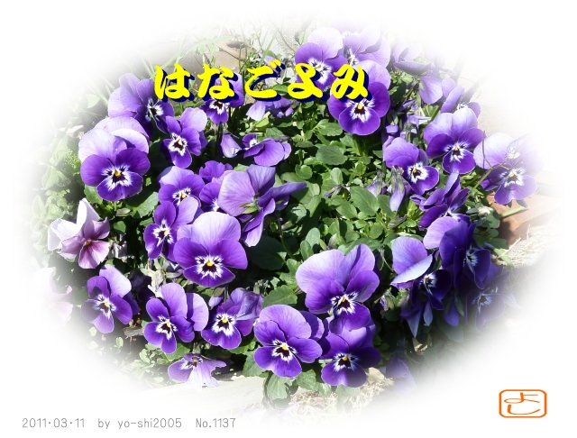 e0033229_2117879.jpg