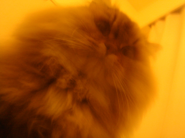 e0157129_22283062.jpg