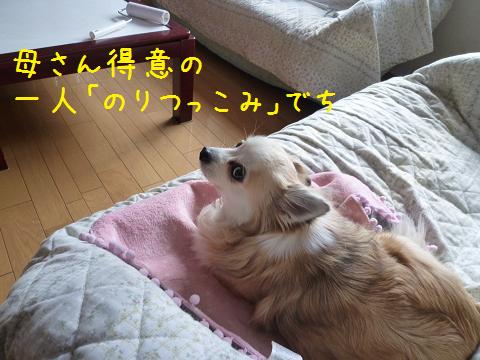 b0138430_204221100.jpg