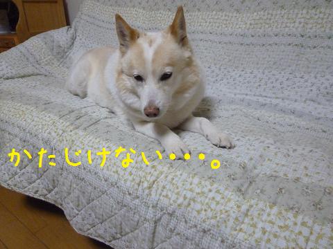 b0138430_21184854.jpg