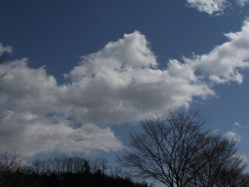 b0177233_10135150.jpg