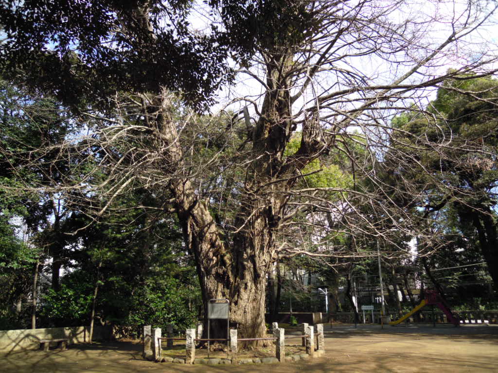 e0081334_2222055.jpg