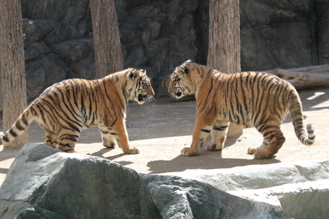 d0214638_20224395.jpg