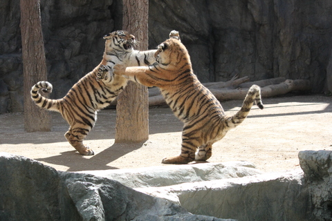 d0214638_2028483.jpg