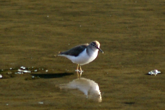 b0043440_12472592.jpg