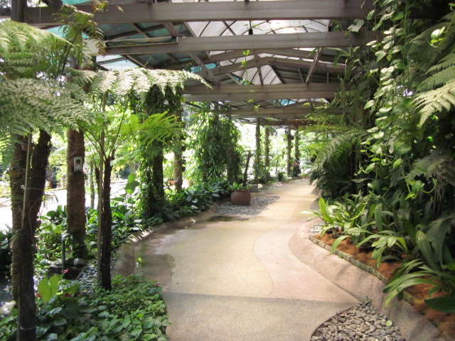 e0120944_11282160.jpg