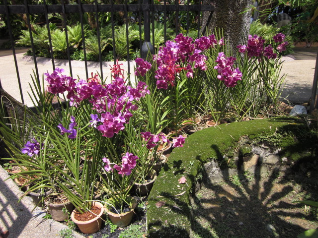 e0120944_11283116.jpg