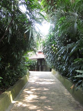 e0120944_112854.jpg