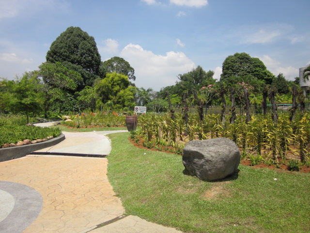 e0120944_112898.jpg