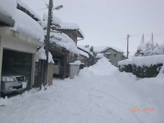 b0173548_20383257.jpg