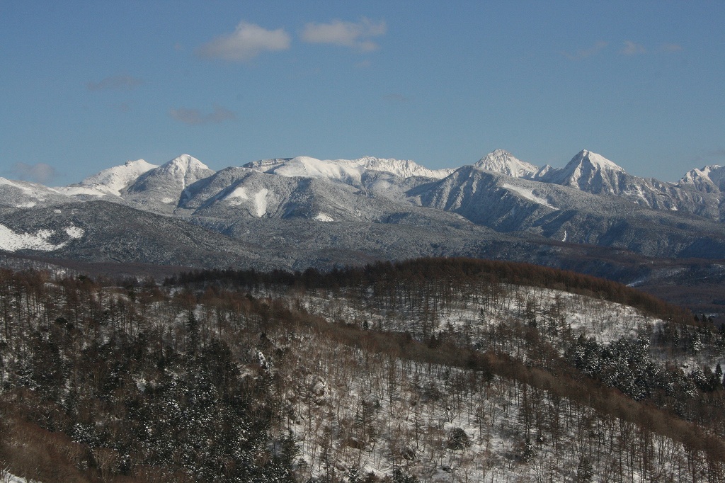 b0029350_930288.jpg