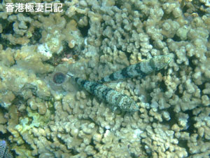 f0190653_1123944.jpg