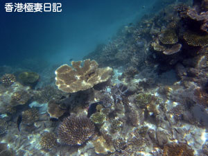 f0190653_1124526.jpg