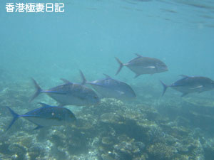 f0190653_1125620.jpg