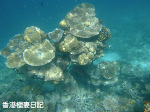 f0190653_113113.jpg