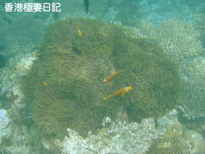 f0190653_1133160.jpg